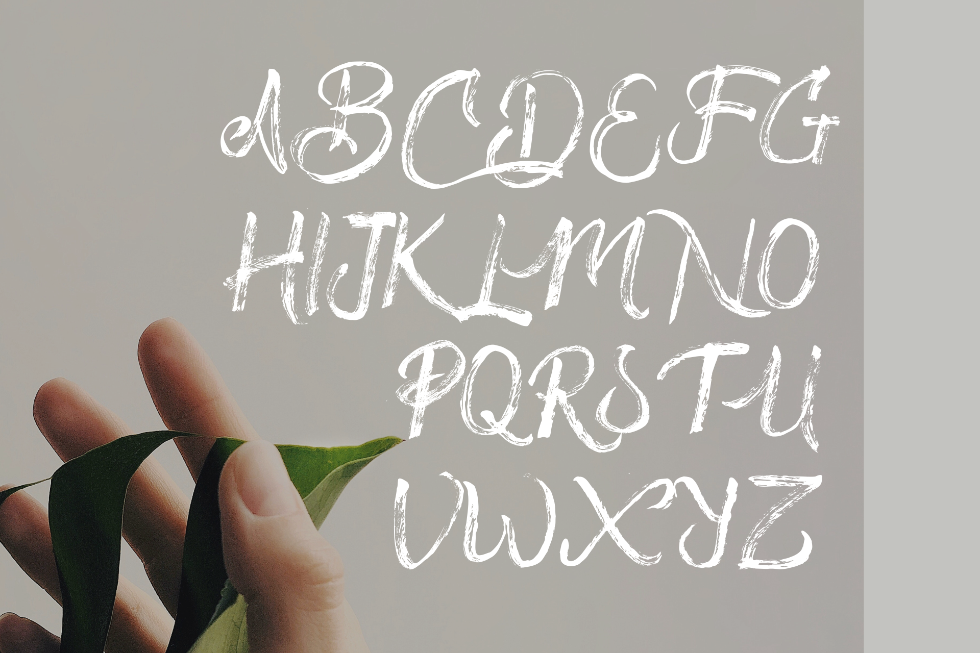 Drillmaster Hand Brush Font, Fonts GraphicRiver